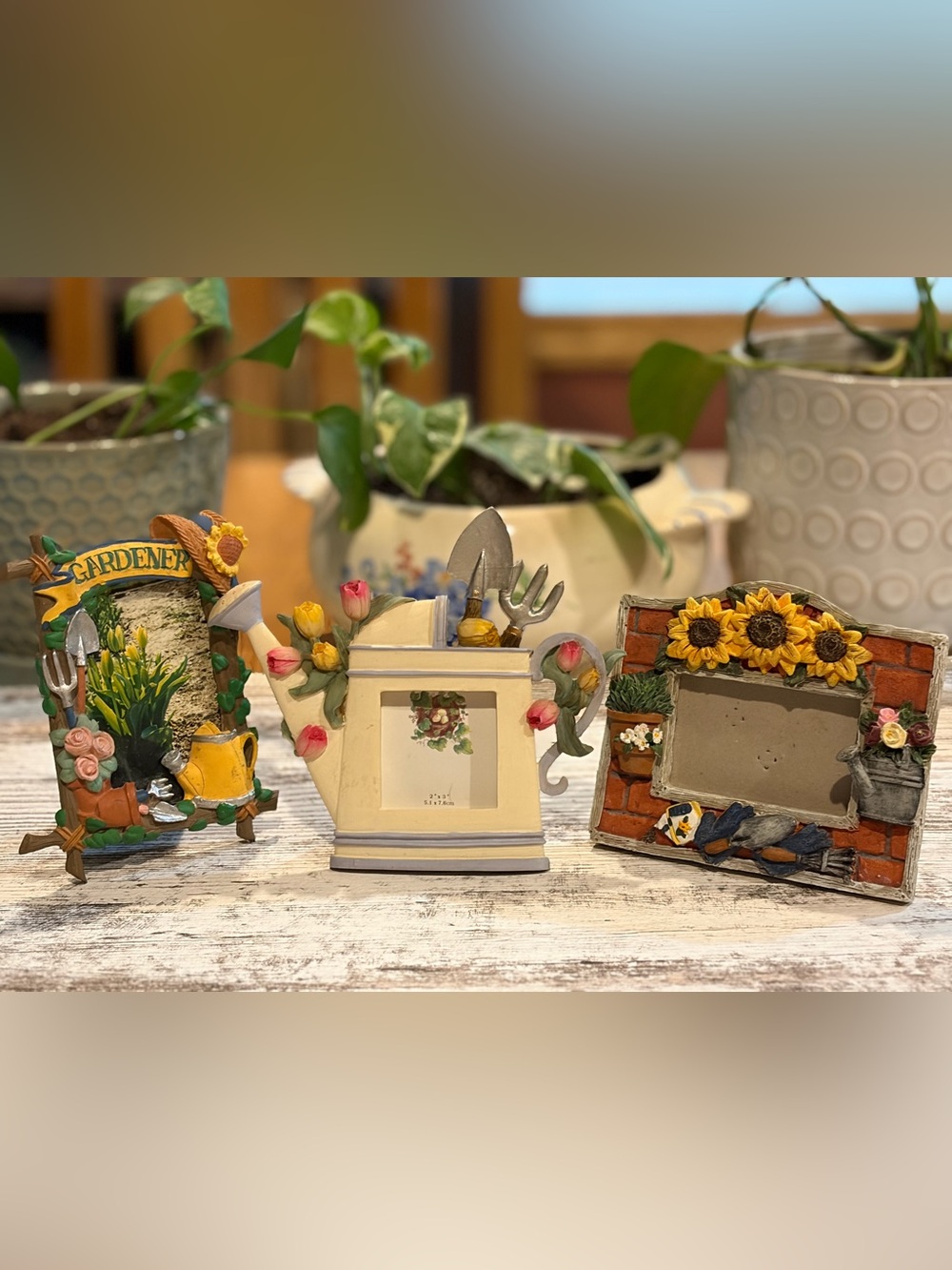 Cottagecore Mini 3D resin Picture frame Set of 3 Sunflower/Garden/Watering Can